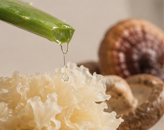 Why Mushrooms Belong in Skincare: The Rise of Mushroom-Powered Beauty