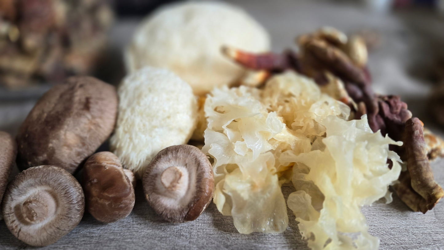 Hydrating Mushroom Serum